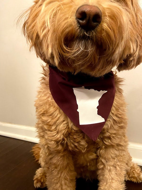 MN Viking and Gopher Team Colors - Dog Bandanas –